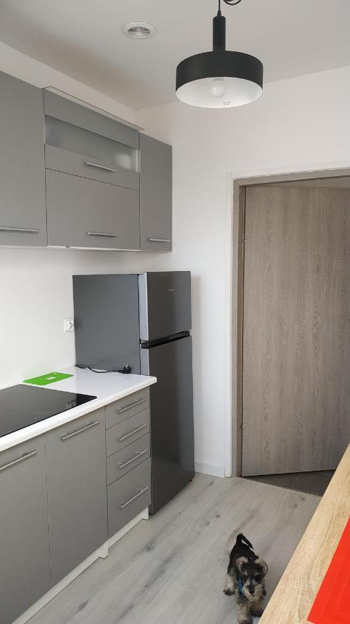 Apartament Witkacego Zielony Слупск Экстерьер фото